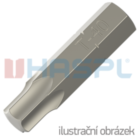 Hrot Torx TX15 - 25 mm